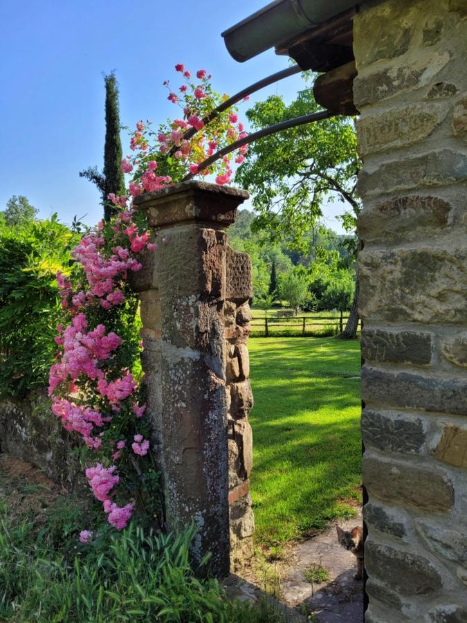 La Casa Nel Chianti Apartamento Greve in Chianti Exterior foto