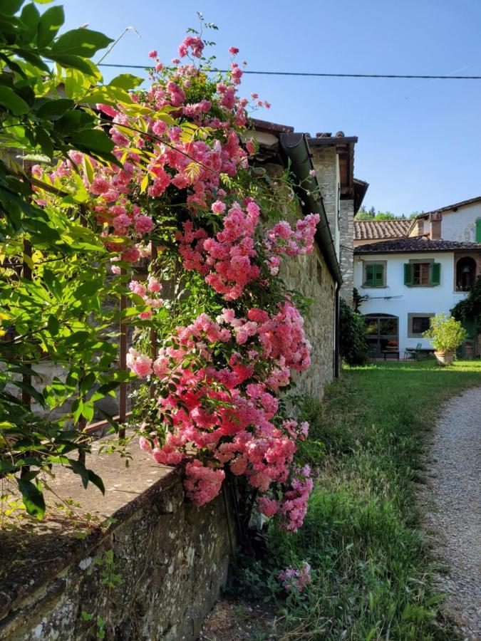 La Casa Nel Chianti Apartamento Greve in Chianti Exterior foto