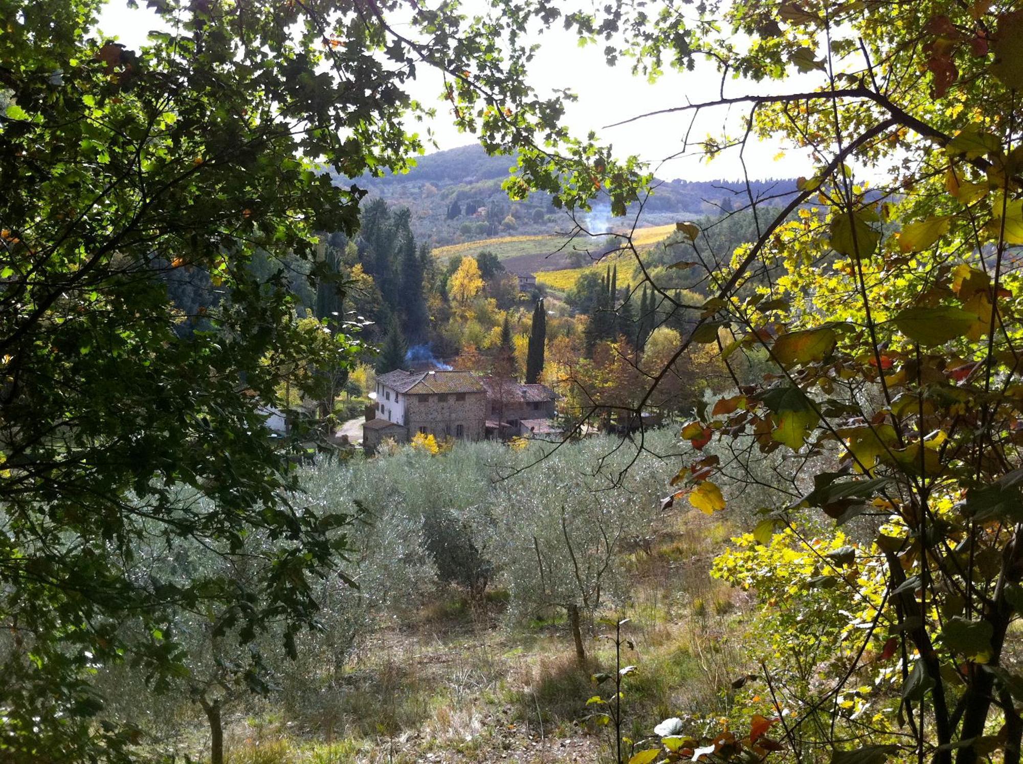 La Casa Nel Chianti Apartamento Greve in Chianti Exterior foto